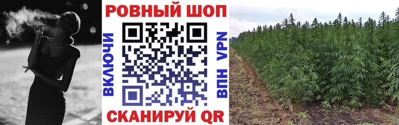Alpha-PVP Борисоглебск