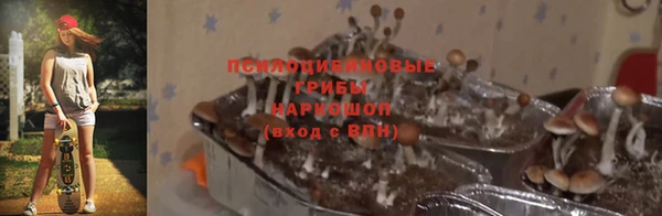 ALPHA PVP Дмитровск