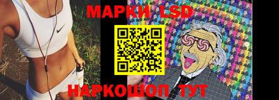 Альфа ПВП Бийск