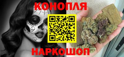 гидра Беслан