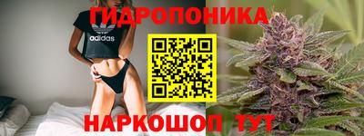 мяу мяу мука Беслан