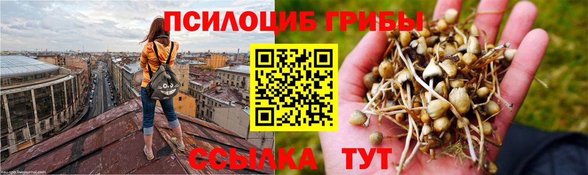 наркотики  Вход с VPN  Борисоглебск  Псилоцибиновые грибы MAGIC MUSHROOMS  Псилоцибиновые грибы мицелий 